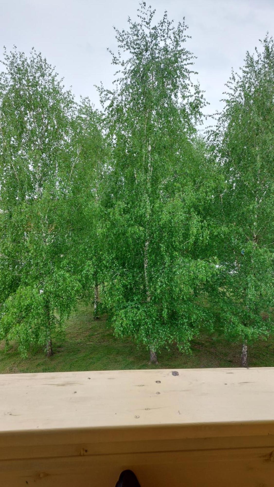 Apartamentai Gertruda Druskininkai Dış mekan fotoğraf